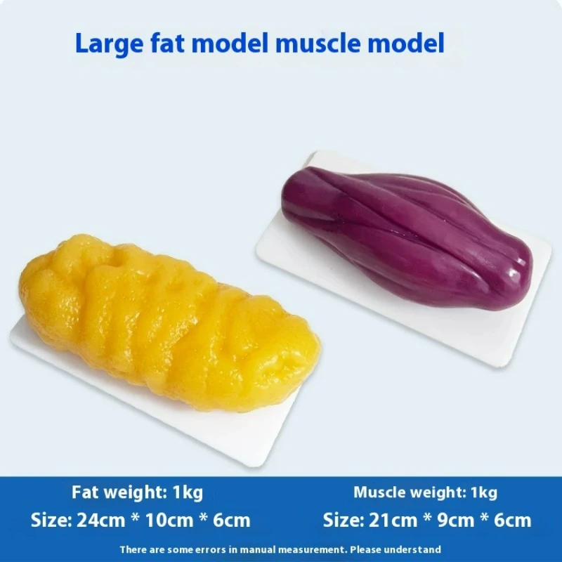 نماذج مقلدة للعضلات والدهون ال - مراجعة Nutrition For Fitness وسعره