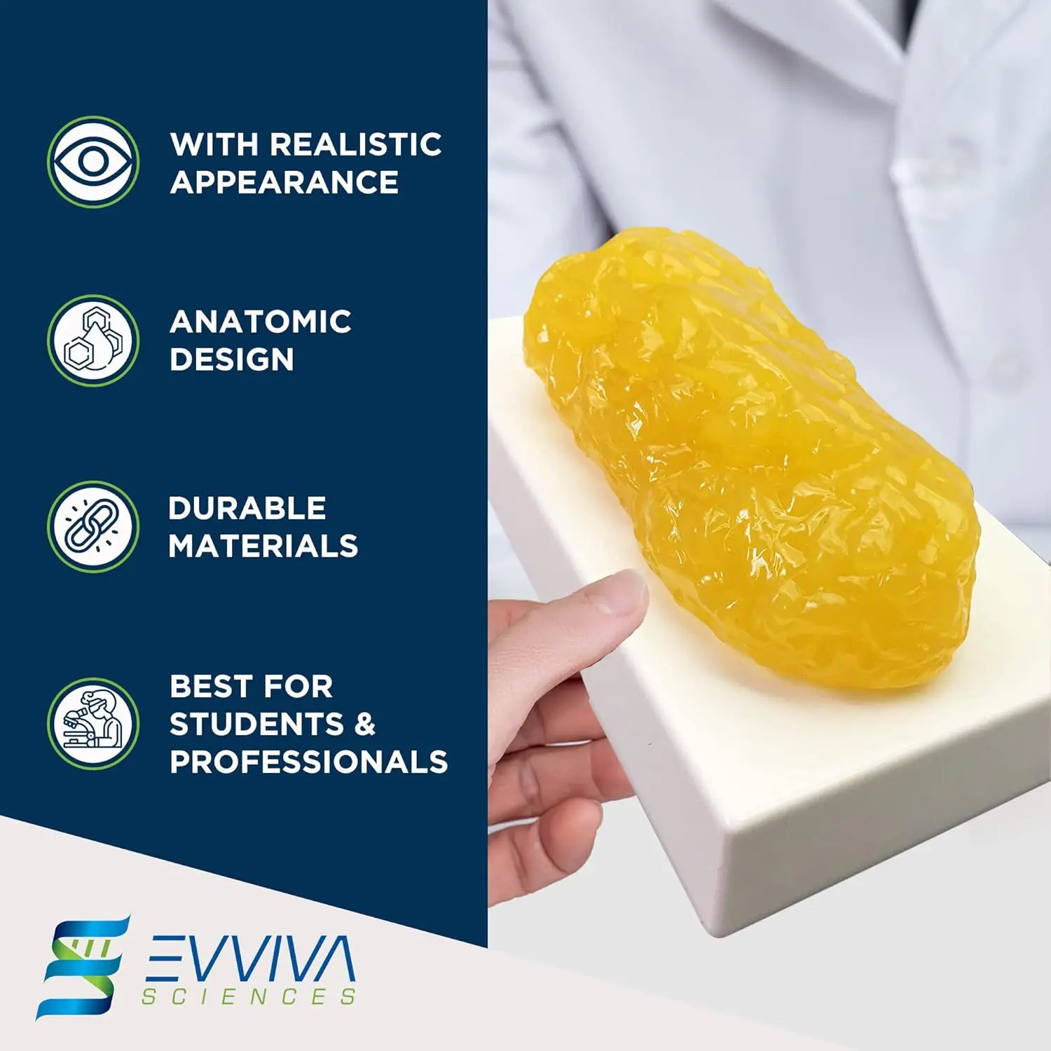 نماذج مقلدة للعضلات والدهون ال - مراجعة Nutrition For Fitness وسعره